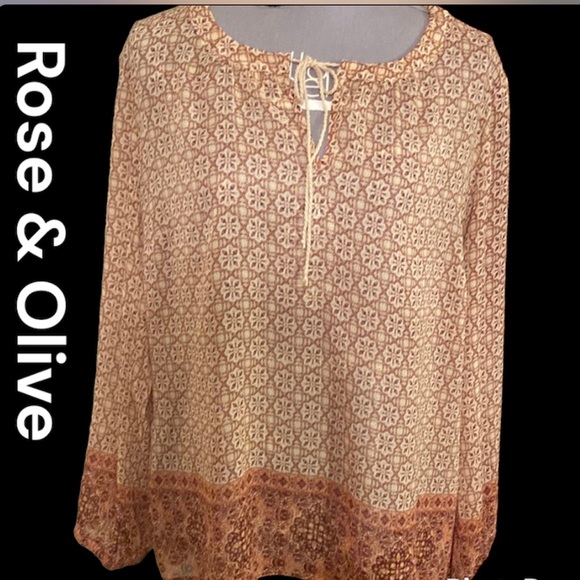 🌹NWOT Rose and olive Sheer brown, tan And Rust top size L🌹 - Picture 1 of 7